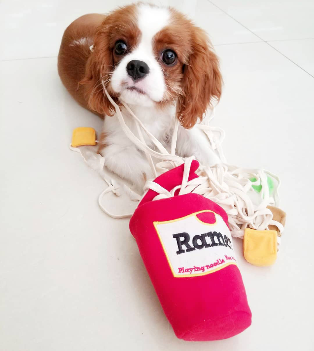 Korea Ramen Sniffing Interactive Foreign Trade Factory Single Cute Pet Leaking Food Toy Dog Pet Sniffing Toy