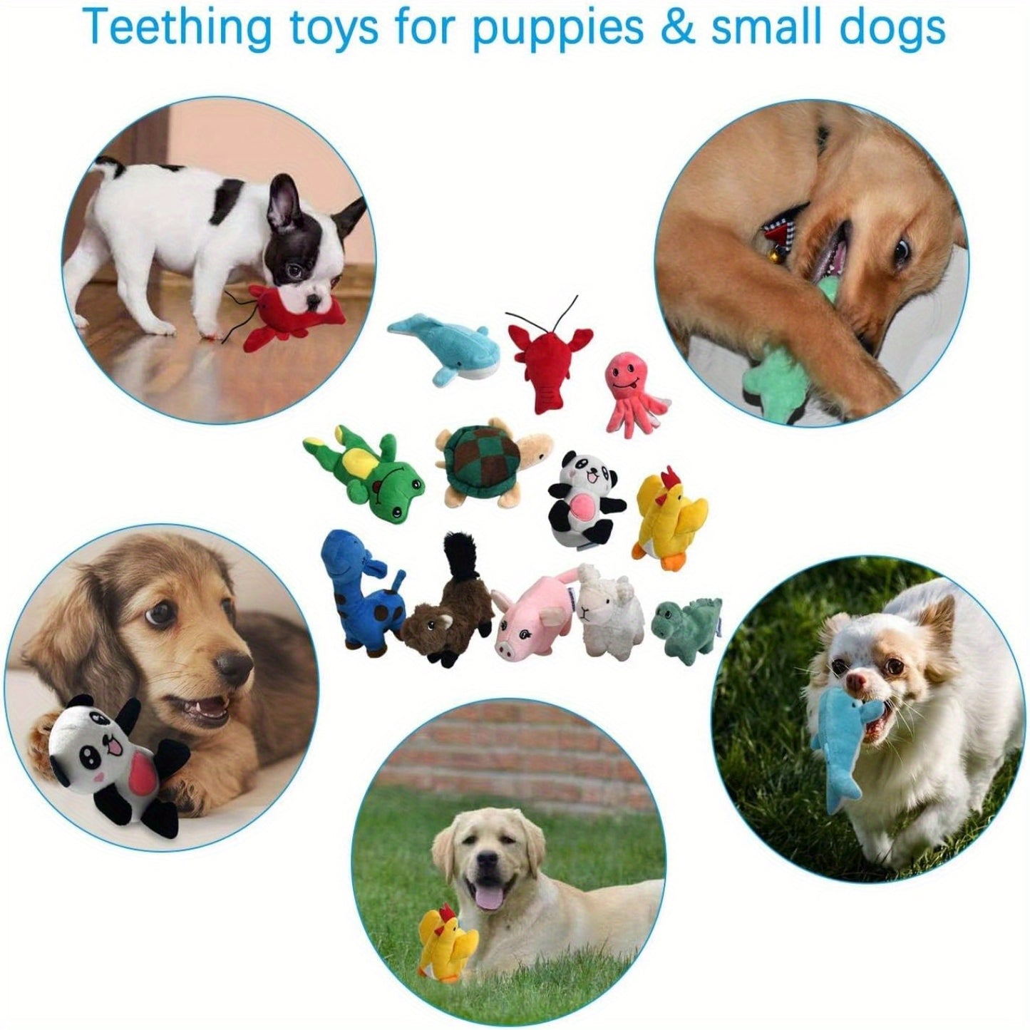 Squeaky Plush Dog Toy Bulk Pack | Cute Soft Stuffed Chew Toys for Small & Medium Dogs