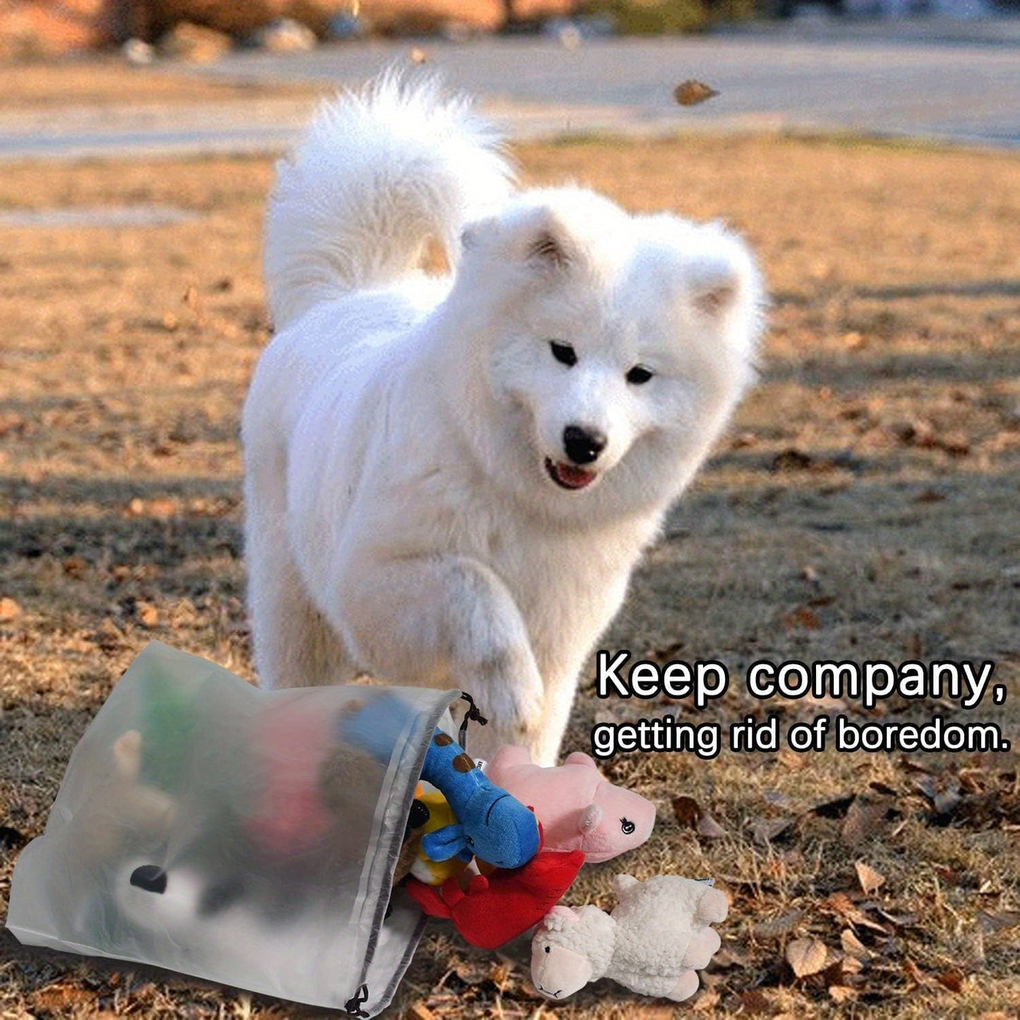 Squeaky Plush Dog Toy Bulk Pack | Cute Soft Stuffed Chew Toys for Small & Medium Dogs