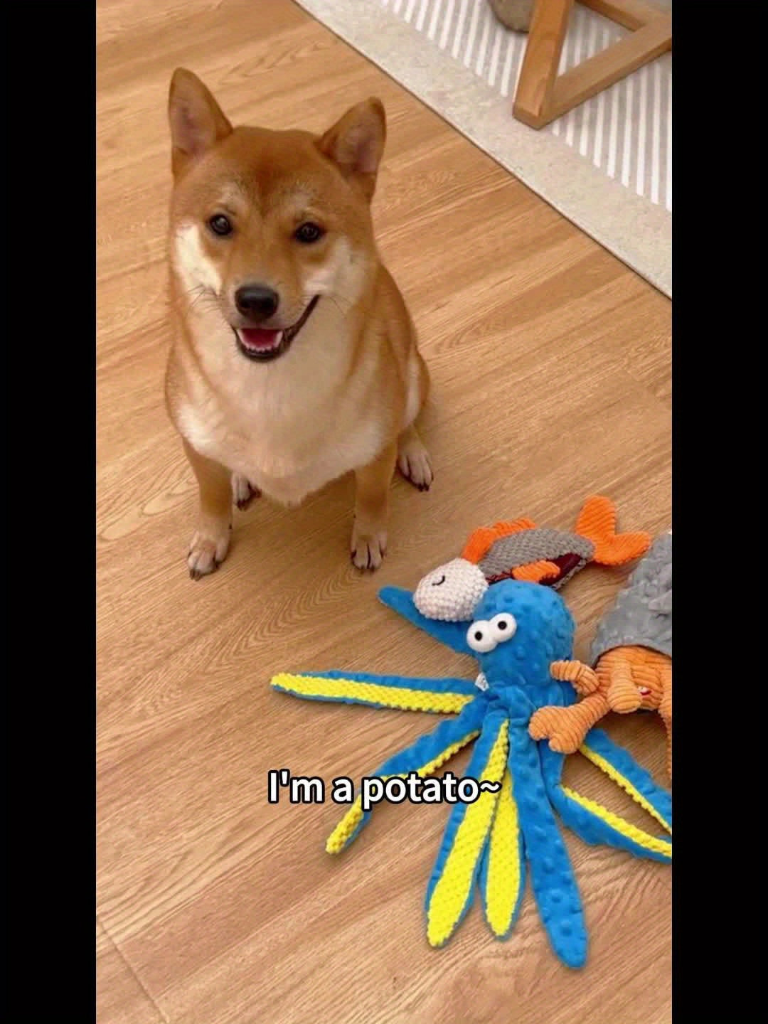 4-Pack Ocean Theme Crinkle Squeaky Dog Toy Set | Interactive Plush Chew Toys for Puppies & All Dog Sizes