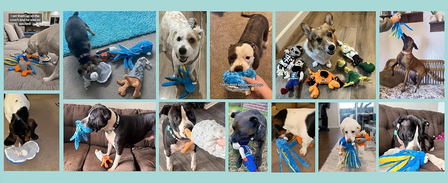 4-Pack Ocean Theme Crinkle Squeaky Dog Toy Set | Interactive Plush Chew Toys for Puppies & All Dog Sizes