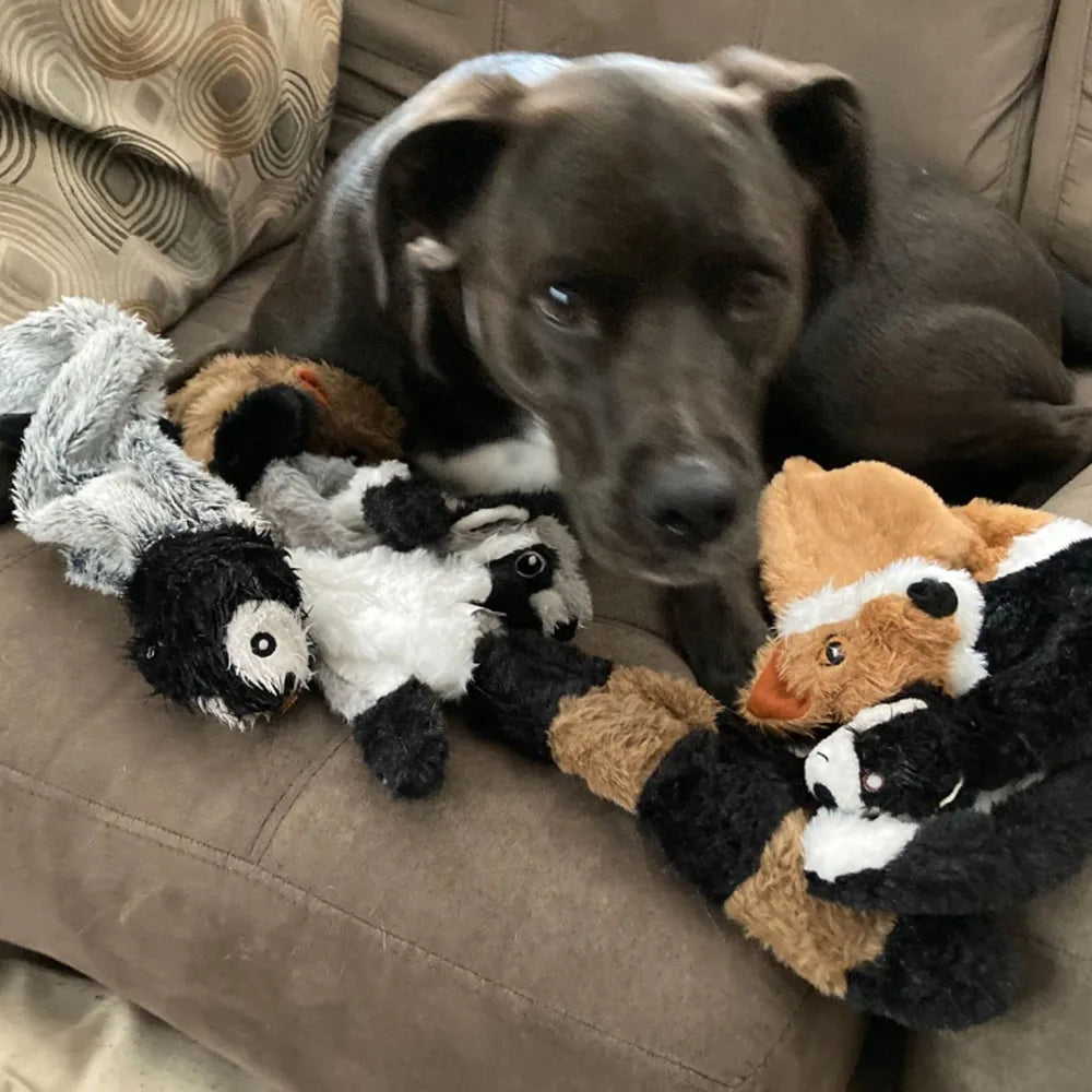Jouet pour chien en peluche crépitante sans rembourrage | Jouet à mâcher durable et sans désordre